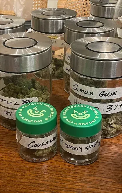 Jars of cannabis strains on display